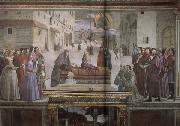 Domenicho Ghirlandaio Erweckung eines Knaben oil painting picture wholesale